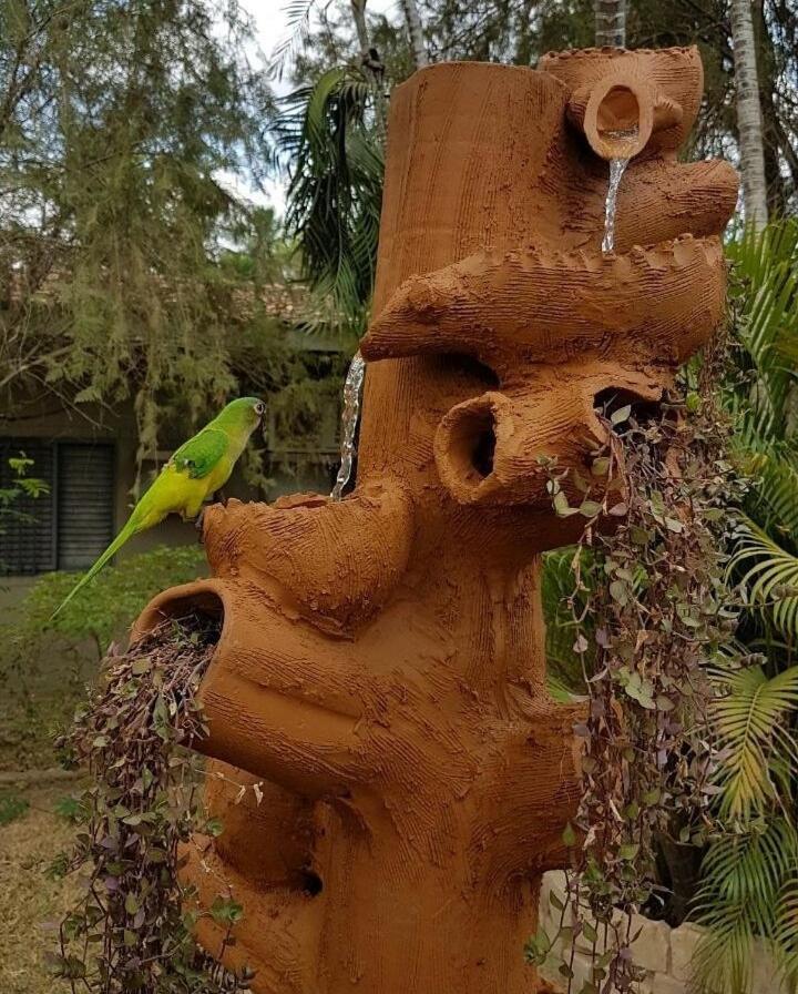 Pousada Recanto Dos Passaros Balsas Экстерьер фото